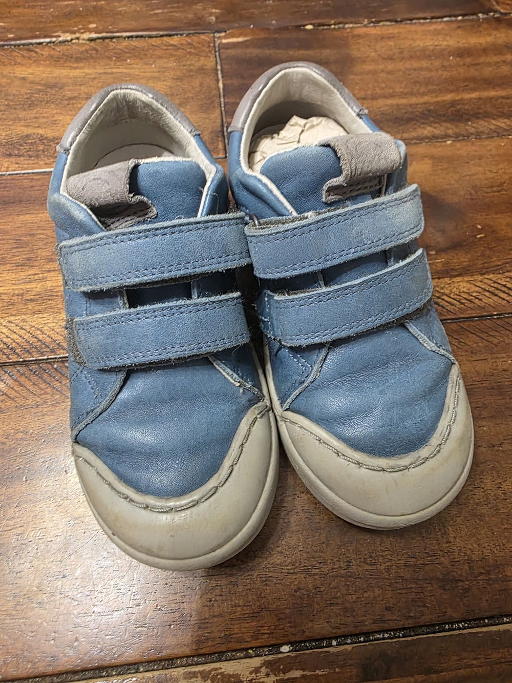 Froddo Rosario high top sneaker size Toddler 9/26